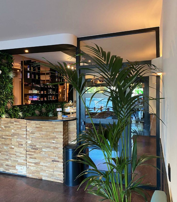 Counter and bar area with plants